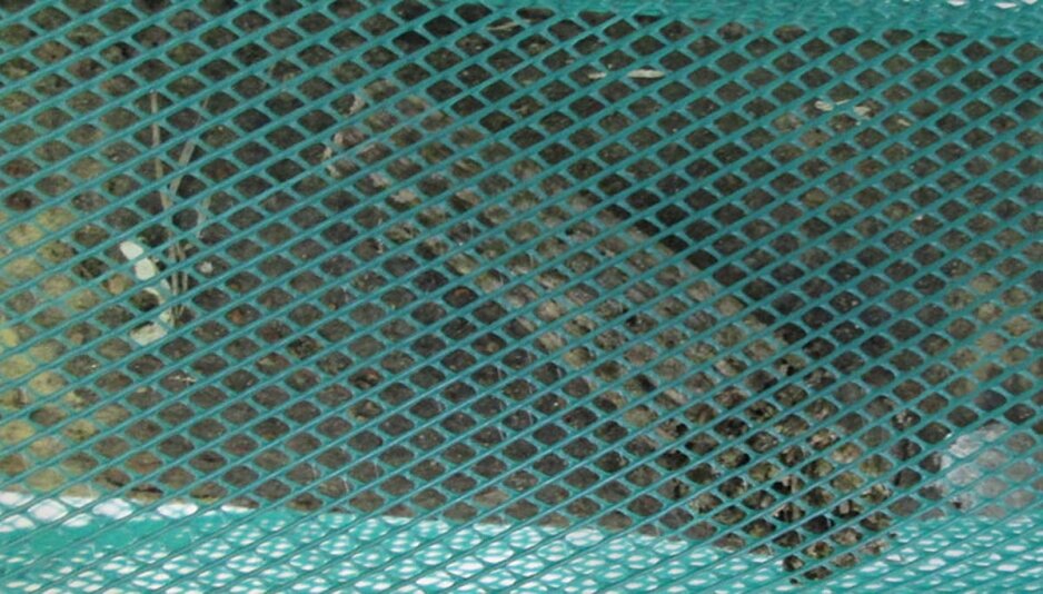 Baumschutznetz